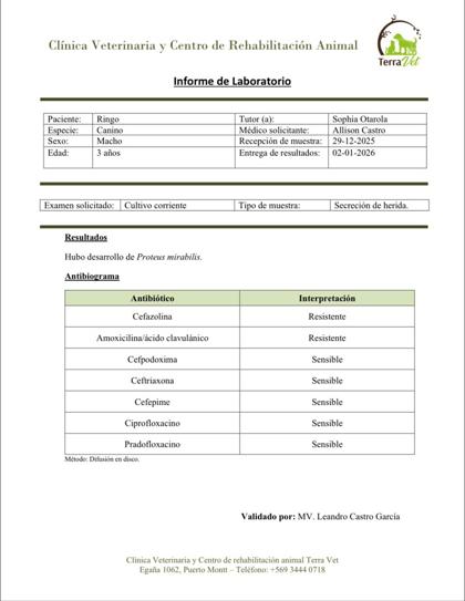 Vista previa del cultivo de diciembre
