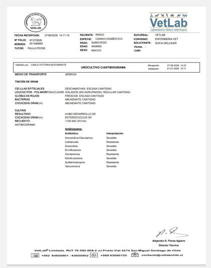 Vista previa del urocultivo de junio