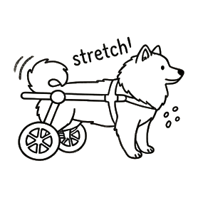 Ringo de paseo con su carrito